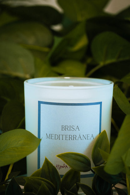 Bougie parfumée "Brise méditerranéenne"